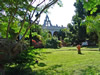 Arhacienda blanca flor