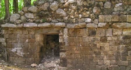 Kanki campeche