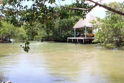 Cenote Chiquila, Cenotes en Yucatán