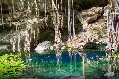 Cenote Xbatún, Cenotes en Yucatán