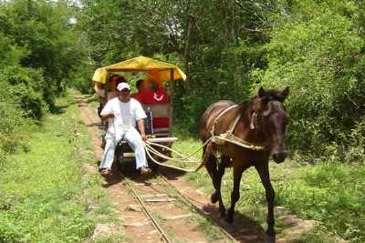 Cenotes de Cuzamá, Cenotes en Yucatán