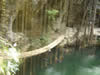 Cenote X-Canche 