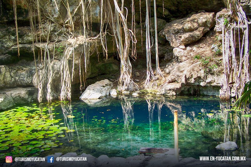 Cenote X-Batún - San Antonio Mulix, Yucatán