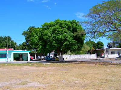 dzitya yucatan