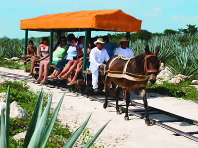 tour hacienda sotuta de peon, haciendas en yucatán