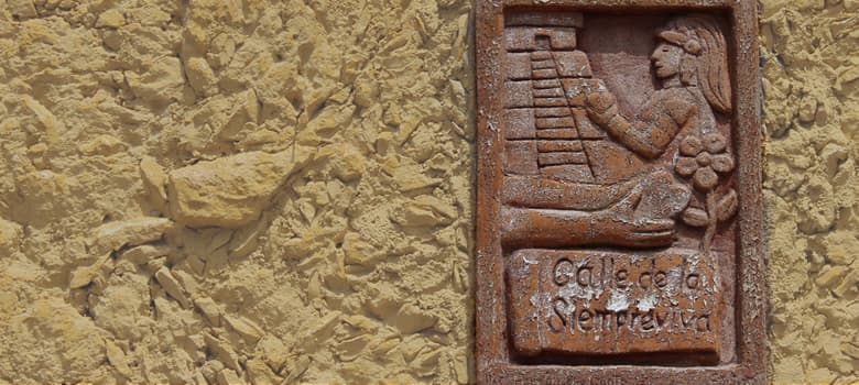 Calle de la Siemprevia