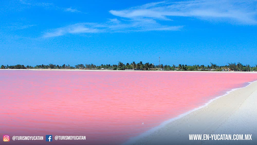Las Coloradas Yucatan, Playas Yucatecas