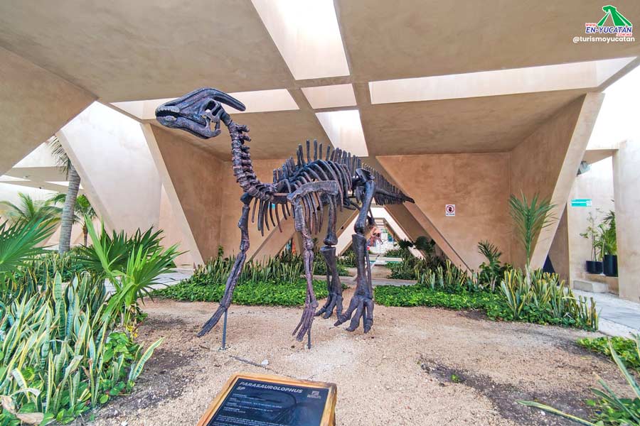 Museo del Meteorito en Progreso Yucatán