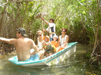 manglares san crisanto