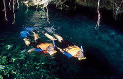 tur jungla maya, all tour native, tur cenotes