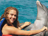 dolphin encounter, nado con delfines