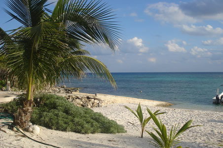 paamul, cenote, caverna, 