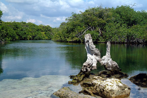tankah, cenote, caverna,