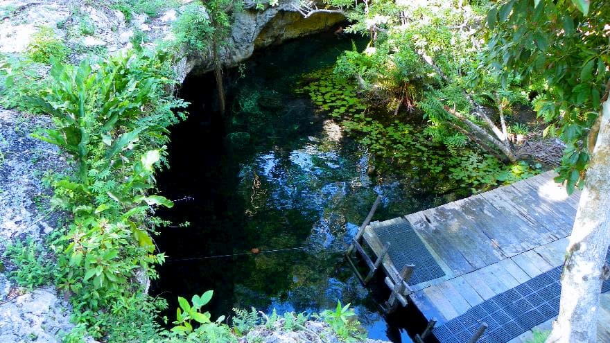 Gran Cenote en Tulum