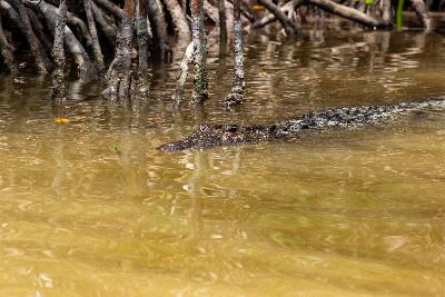 Fotos de Rio Lagartos, Yucatán