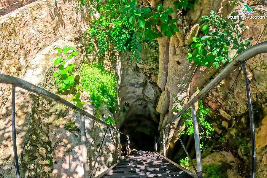 Acceso al Cenote Chen Yuc