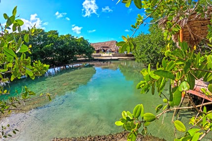 Cenote Chiquila en Rio Lagartos