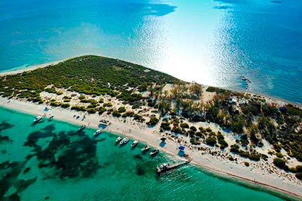 Tour Pirvado al Arrecife Alacranes